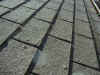 Photograph of blisters
on shingles.
